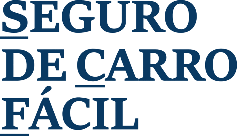 Securo de Carro